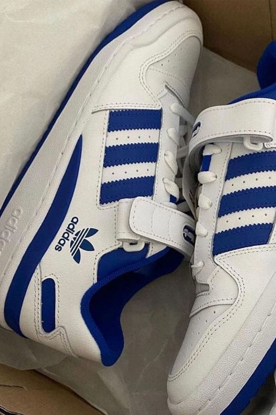 Adidas Forum